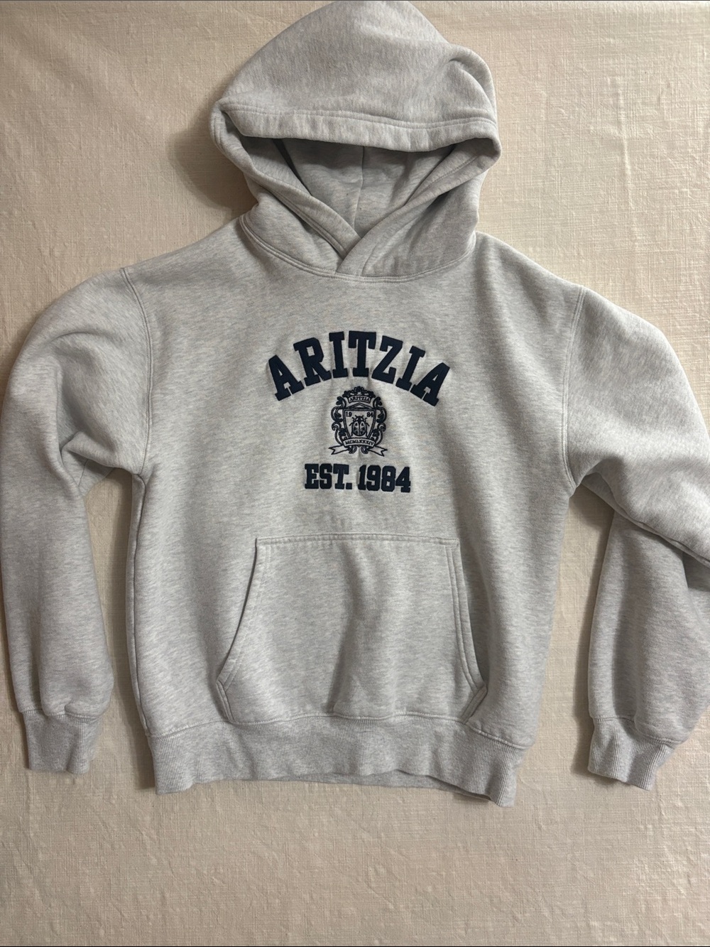 Aritzia sweatshirt hoodie size small